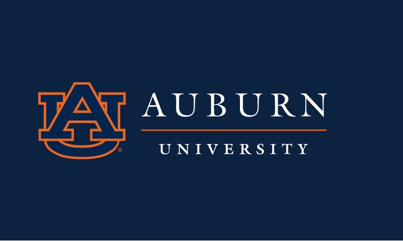 Auburn Canvas Guide: Easy Navigation