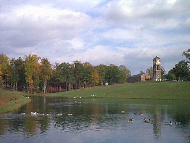 Gardner Webb University Centrikid Centrikid