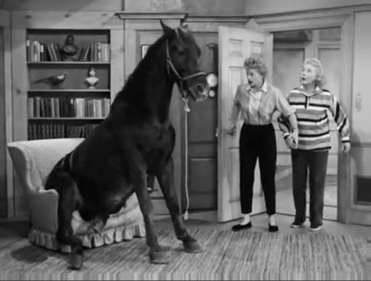 Lucy Desi Comedy Hour Lucy Wins A Racehorse References Youtube