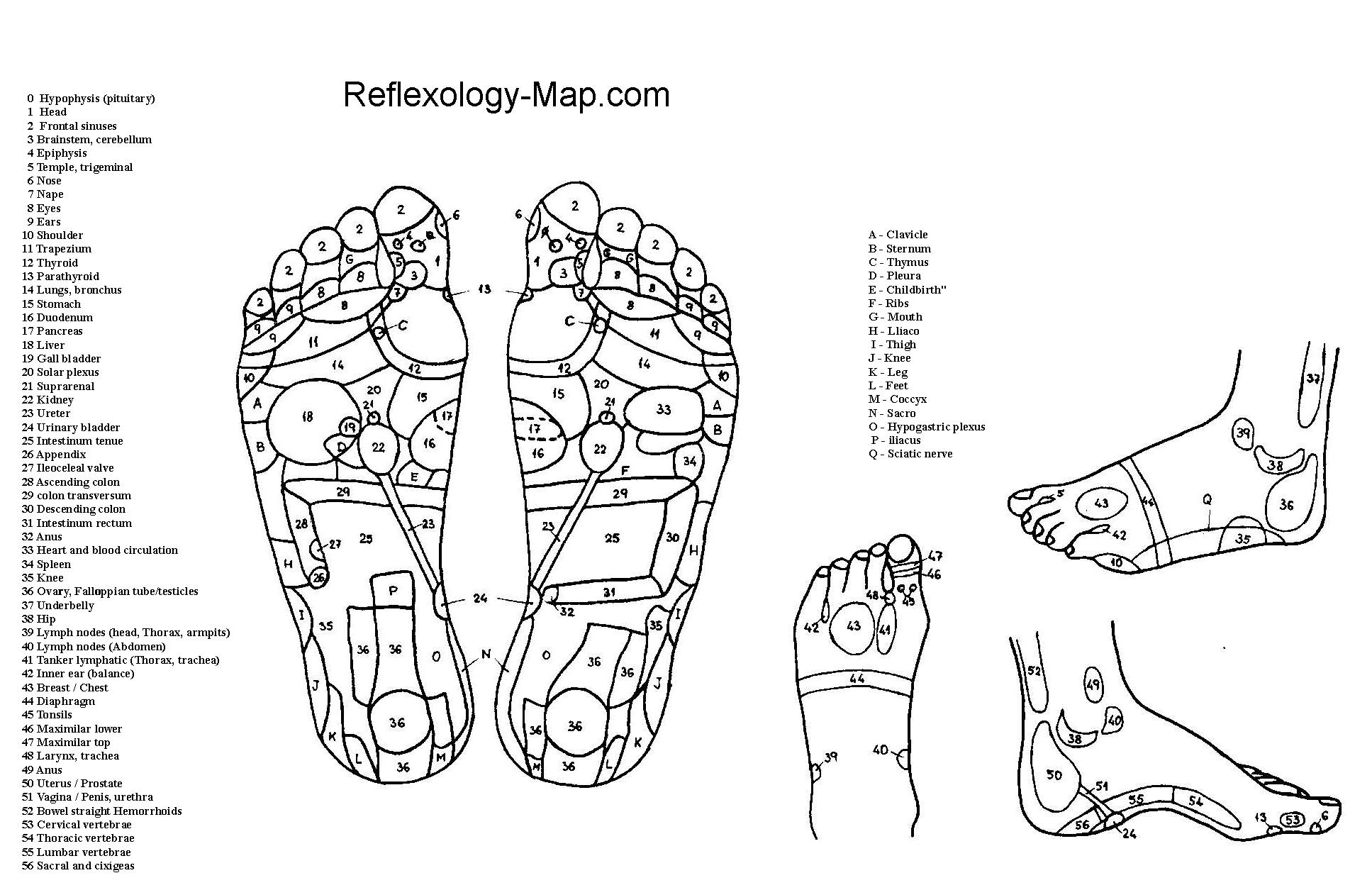 Reflexology Map Of Foot: Improve Overall Health