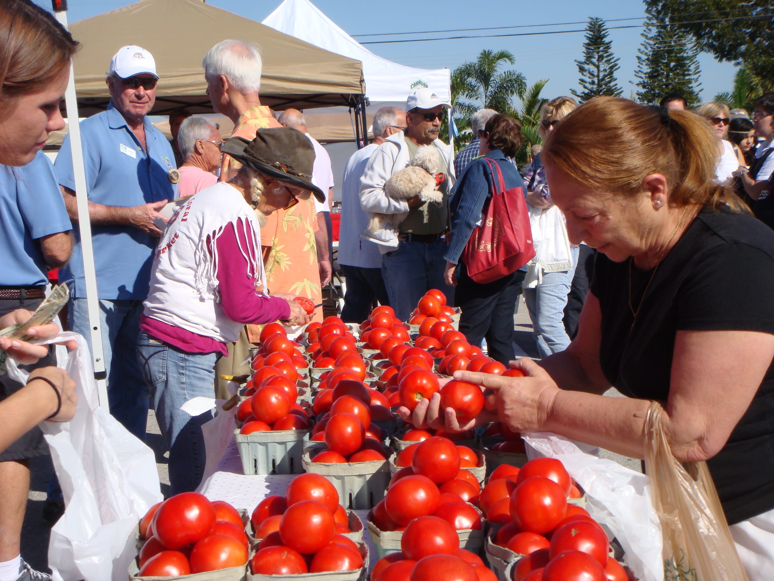 Sprouts Farmers Market Opens In Cape Coral