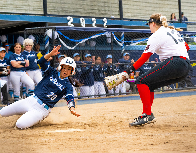 University Of Washington Softball